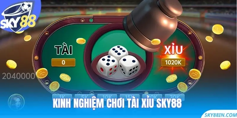 Kinh nghiệm chơi Tài Xỉu Sky88